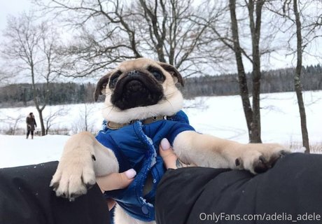 adelia adele beste xxx foto