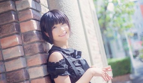 ayame apricot perfekte erwachsene bild