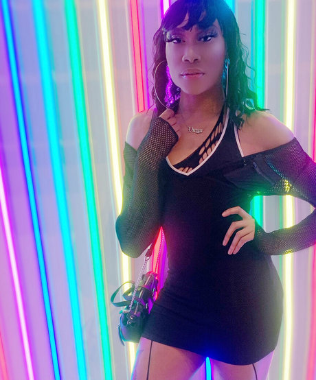 darirose beste schöne galerien