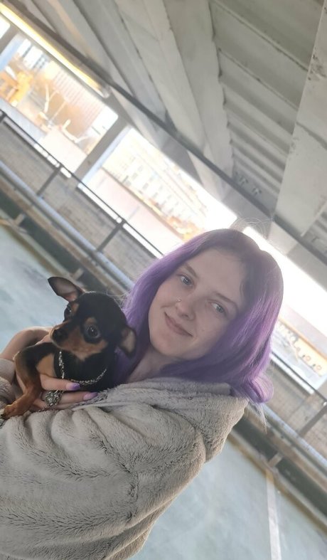 purplemiss erotische freie galerie