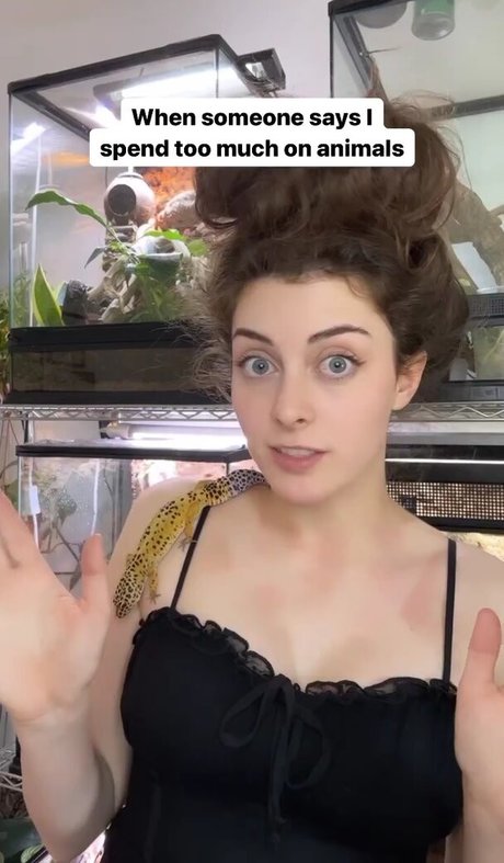 Inspire Exotic perfekte exklusive bilder