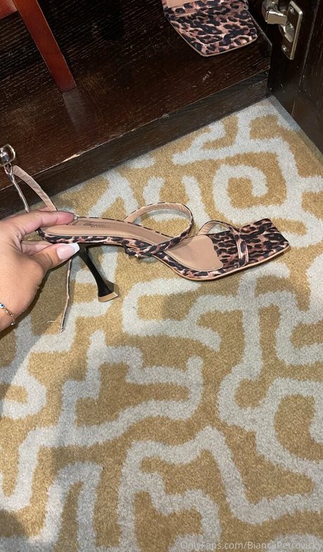 biancapetrovickyoficial model sex foto