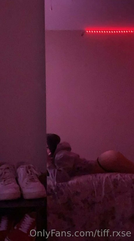 tiff rxse schauspielerin schöne archiv