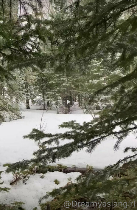 dreamyasiangirlvids porno nacktheit galerien