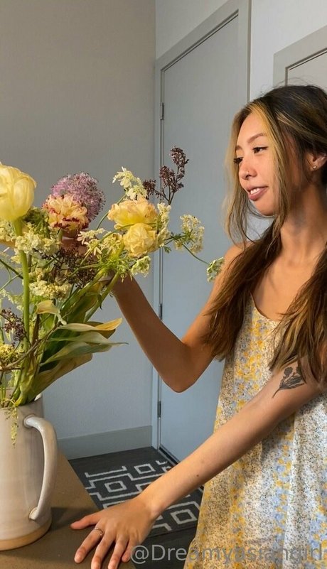 dreamyasiangirlvids perfekte beste foto