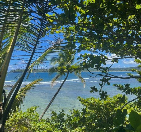 transsexuelle onlyfans erwachsene top galerie