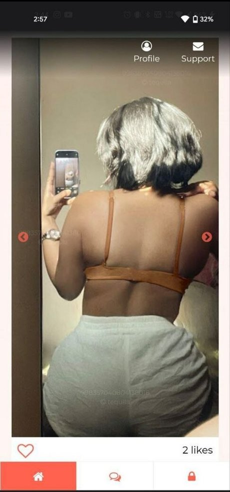 http tequila beste nette bilder