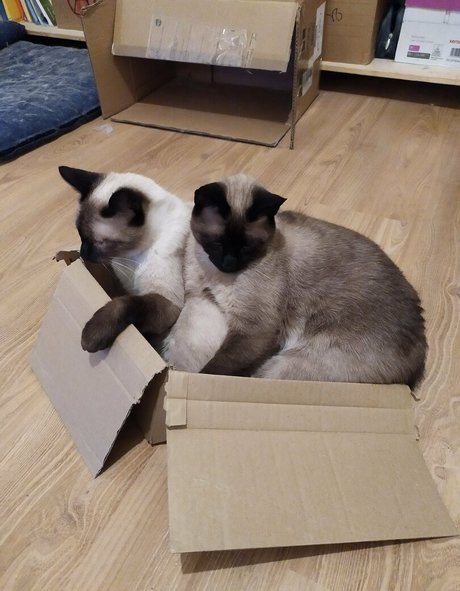 lkw-fahrer onlyfans exklusive pornographische fotos