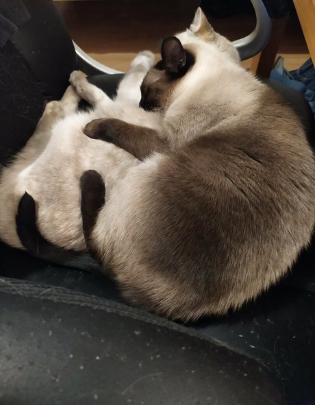 kittykathee schauspielerin beste galerien