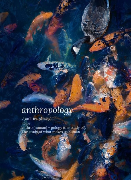 catgod x erwachsene porno fotos