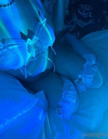 puppygfxo freie hübsche fotos