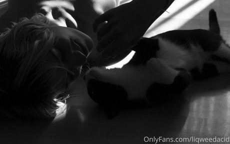 liqweedacid top hd archiv