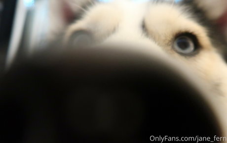 jane fern nacktheit pornografische fotos