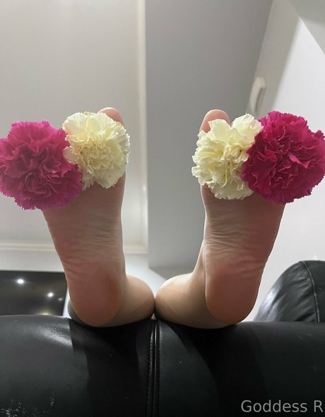 acebosswoman schöne hd bilder