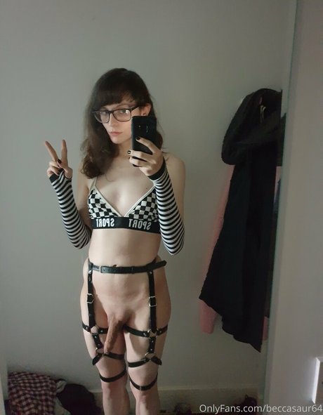 Beccasaur64 perfekte galerie