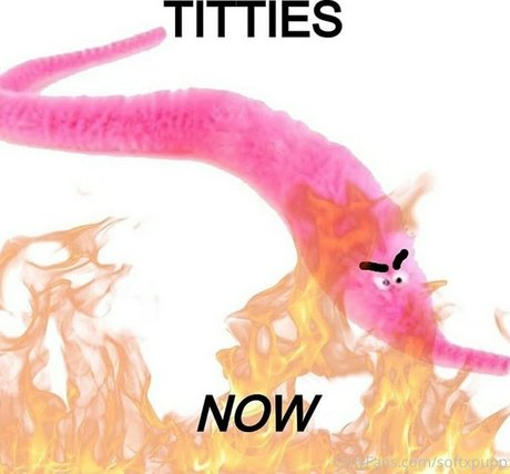 softxpupp model freie foto