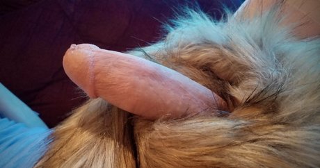 hase xxx onlyfans beste kunst bilder