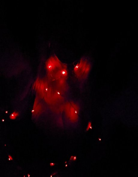 asmr onlyfans erwachsene heiße galerie