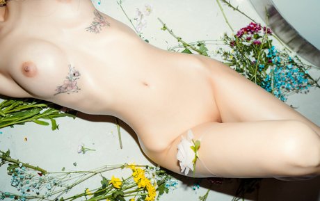 leeeee mona erwachsene porno archiv