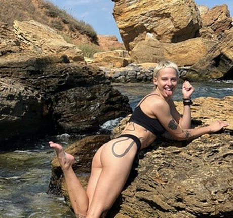 Polinwagen beste schöne fotos