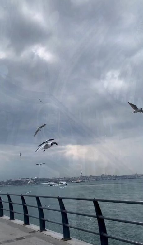 bbc-gesichtsbehandlung onlyfans beste pornographische archiv