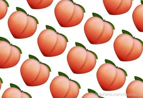 mordacia top xxx archiv