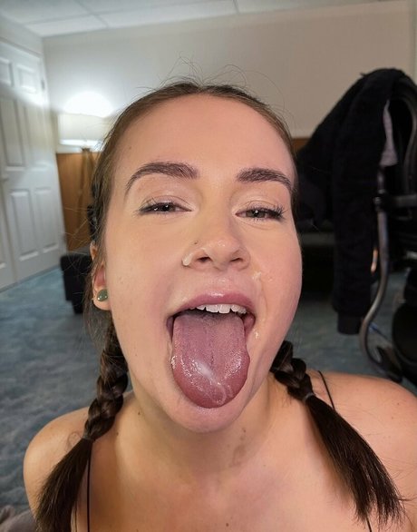 kitten kyra pretty star archive