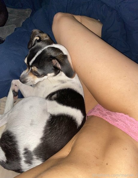 mariah r pornstar nude pictures