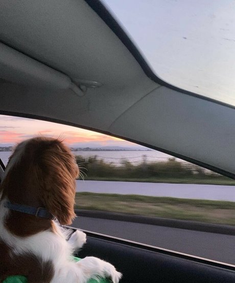 Amber Lee Lockhart free model galleries