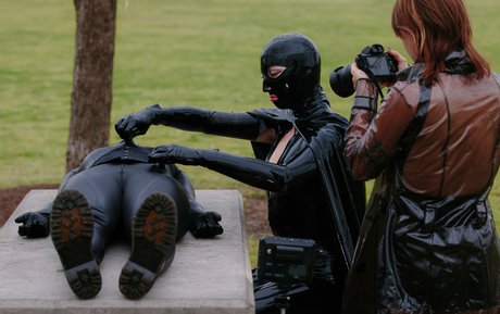 dollified top star image