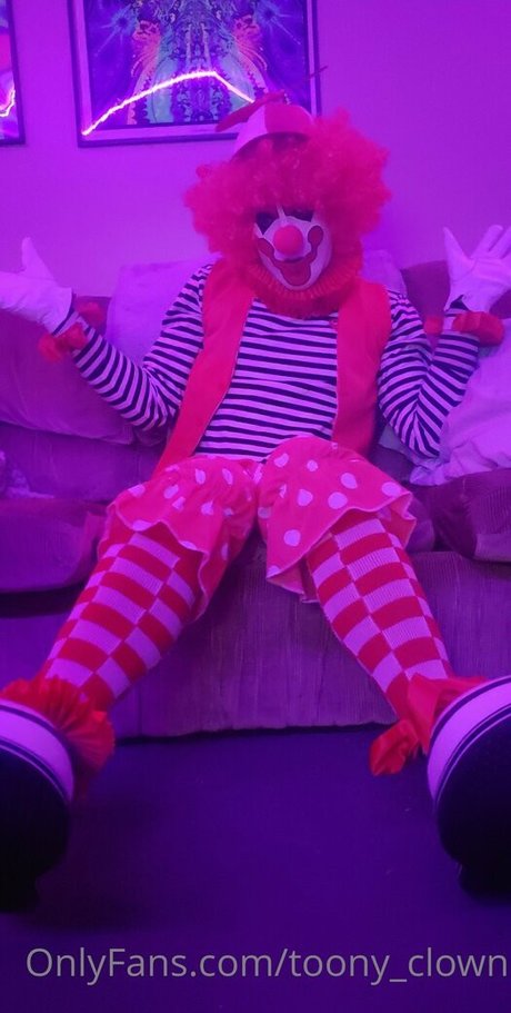 toony clown star perfect picture