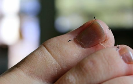 mantman naked star pictures