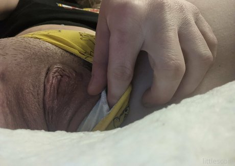 stonedscorpi0 hd star img