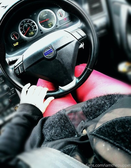 iamthepuppet star galleries