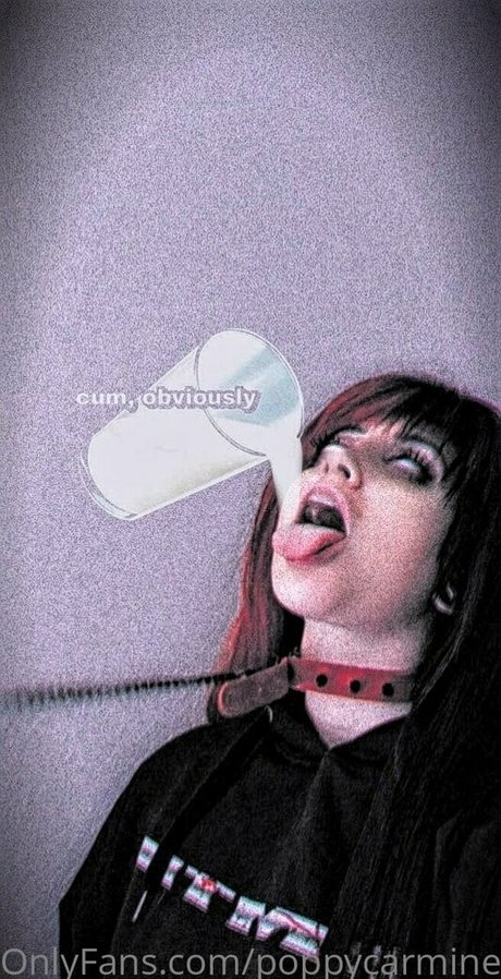 poppycarmine profile pic