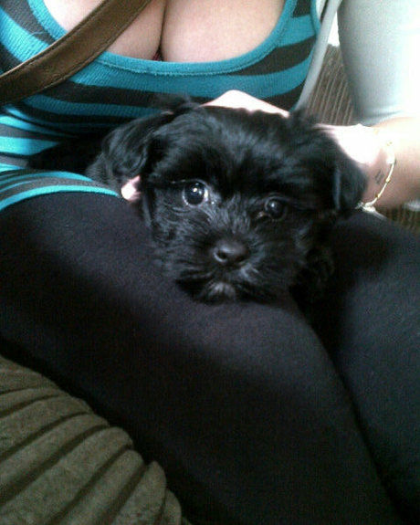 anal asian onlyfans top pics