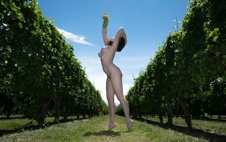 poseurs model art img