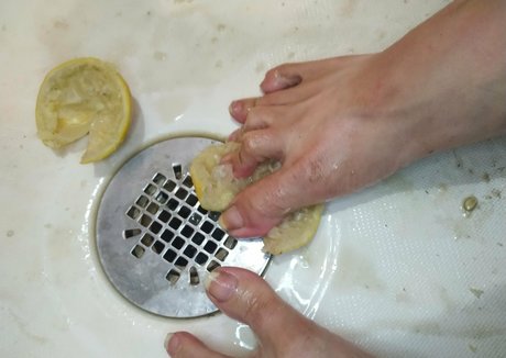 ferralynriver star adult gallery