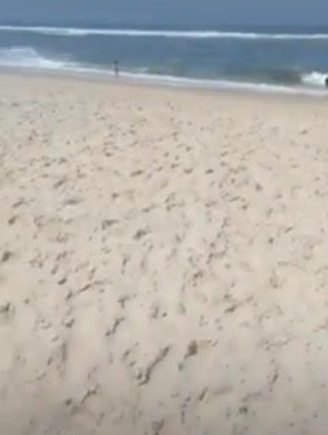 Aline Barreto nice actress gallery