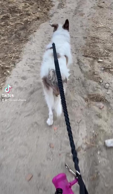 blonde secretary onlyfans hot xxx picture