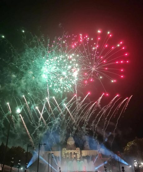 Ann Cygnus profile pic