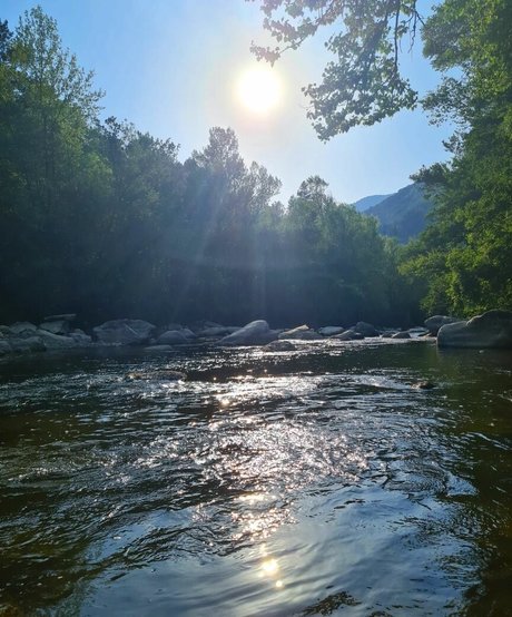 Ann Cygnus star porn photo