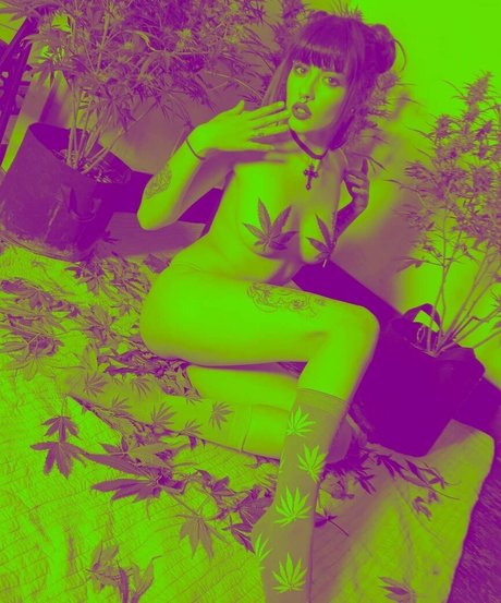 Taylor Evanchak star adult photo