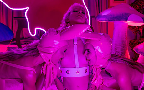 Demon Poptart star perfect gallery