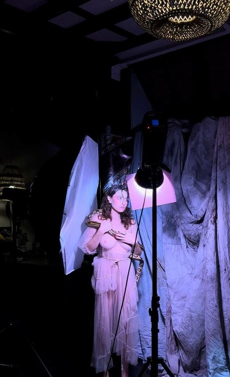 Greymouse profile pic