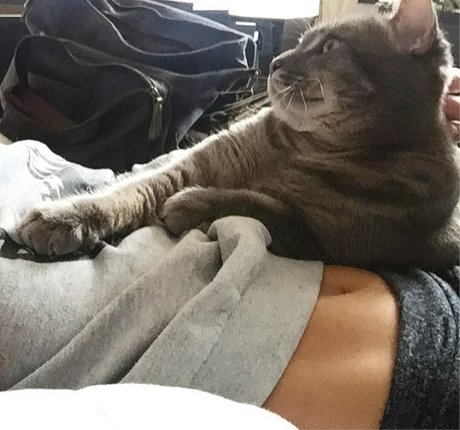 twomgovercsquared hd pornstar image