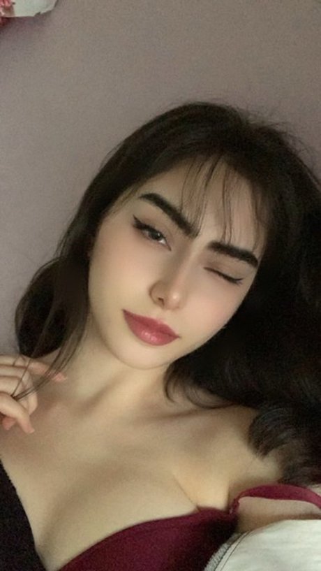 Mersweb model high quality archive