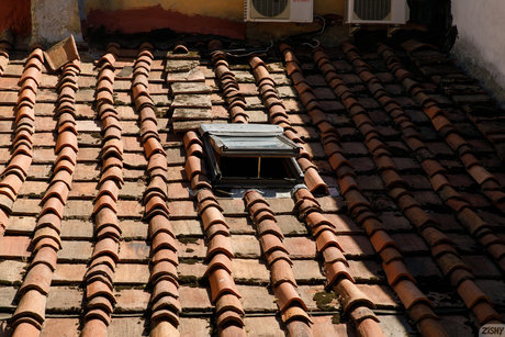 asian petite onlyfans art naked gallery