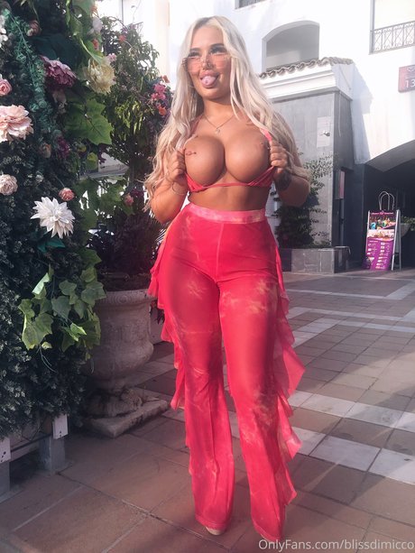 Bliss Dimicco_ star naked archive