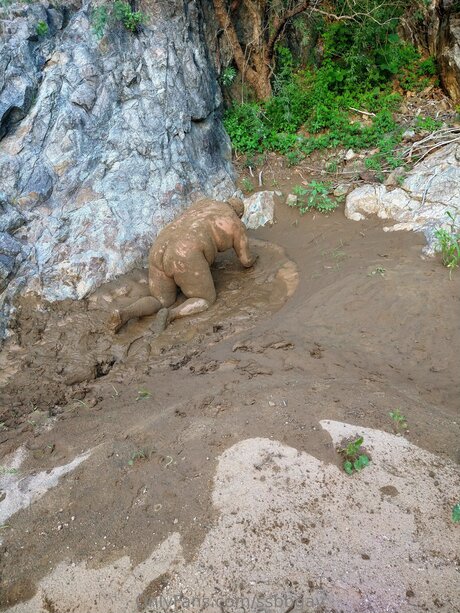 nice ass onlyfans pornos pics